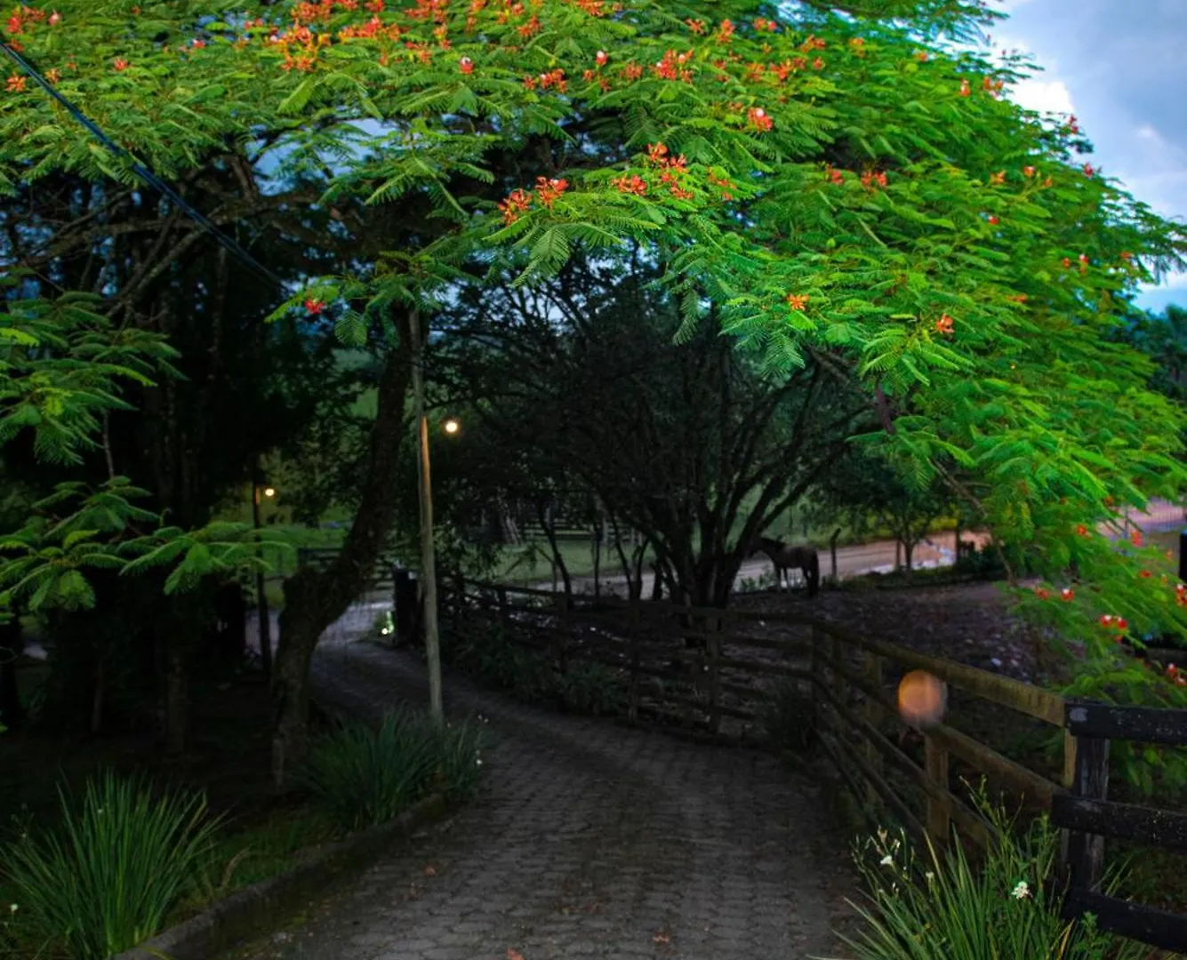 Villa Bella Vista à Porto Belo Brésil