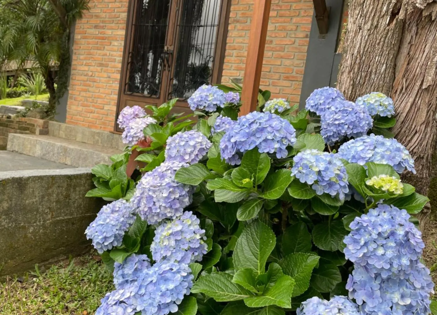 Hébergement de vacances Villa Bella Vista à Porto Belo